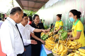 Các đại biểu tham quan gian hàng trưng bày chuối tươi.