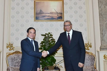 Phó Thủ tướng Trần Lưu Quang gặp Phó Chủ tịch thứ nhất Hạ viện Ai Cập. 
