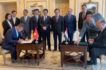Phó Thủ tướng Trần Lưu Quang chứng kiến lễ ký kết Thỏa thuận Hữu nghị và Hợp tác giữa Thủ đô Hà Nội và Cairo. (Ảnh: Nguyễn Trường/Vietnam+)