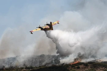 Máy bay phun nước dập lửa cháy rừng tại Volos, Hy Lạp. (Ảnh: AFP/TTXVN)