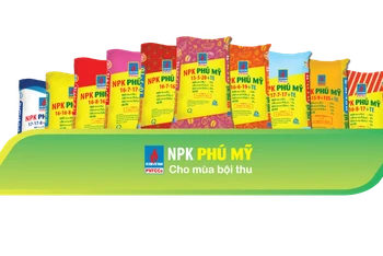 Đến nay, PVFCCo đã cho ra thị trường gần 30 công thức, sản phẩm NPK Phú Mỹ.