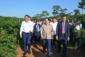 Chủ tịch Quốc hội Vương Đình Huệ thăm vùng trồng cà-phê tại bản Hoàng Văn Thụ, xã Hua La, thành phố Sơn La. 