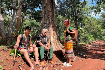 Già làng Điểu Lên cùng con cháu dưới bóng cây Kơ nia ở sóc Bom Bo.