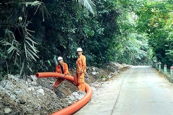 Thi công đường dây trung áp đi ngầm qua vùng lõi Vườn quốc gia Phong Nha-Kẻ Bàng.