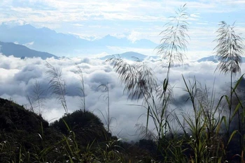 Đứng trên đỉnh Lao Tỷ Phùng, du khách được chiêm ngưỡng vẻ đẹp hùng vĩ của núi rừng Tây Bắc. 