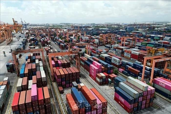 Kho bãi chứa container tại cảng Tân Vũ (Hải Phòng). (Ảnh minh họa: Tuấn Anh/TTXVN)