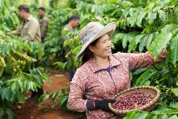 Phát triển nông nghiệp tái sinh, tăng năng suất, giảm phát thải là ưu tiên hàng đầu của Nestlé.