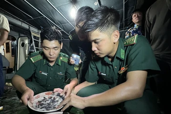 Lực lượng tuần tra Bộ Chỉ huy Bộ đội biên phòng tỉnh Quảng Ngãi kiểm đếm, tạm giữ một số hiện vật gốm sứ cất giấu trên tàu cá BĐ 10546TS. 