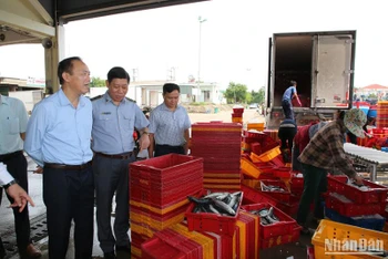 Thứ trưởng Nông nghiệp và Phát triển nông thôn Phùng Đức Tiến kiểm tra công tác chống khai thác IUU tại Quảng Ngãi vào giữa tháng 9 vừa qua. 