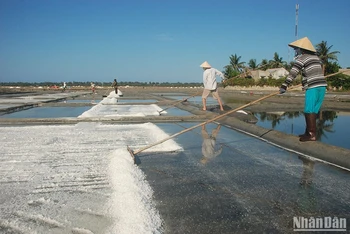 Nghề làm muối ở Sa Huỳnh có truyền thống lâu đời (từ thế kỷ 19) nên người dân rất gắn bó và có nhiều kinh nghiệm sản xuất muối.