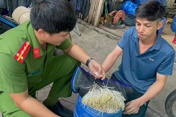 Qua kiểm tra, Công an thành phố Quảng Ngãi phát hiện giá đỗ do chủ cơ sở Đào Văn Lập sản xuất sử dụng hóa chất kích thích tăng trưởng.