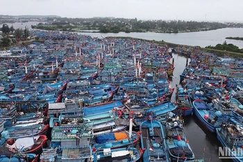 Mùa mưa bão, cảng neo trú tàu thuyền Tịnh Hòa thường xuyên quá tải tàu cá neo đậu. 