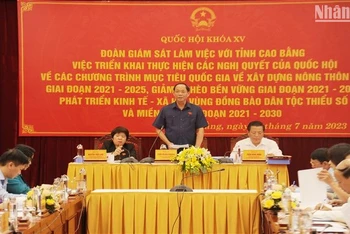 Thượng tướng Trần Quang Phương, Phó Chủ tịch Quốc hội phát biểu ý kiến tại cuộc giám sát.