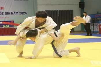 Một động tác kỹ thuật đẹp mắt trong môn Jujitsu.
