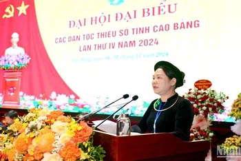 Thứ trưởng-Phó Chủ nhiệm Ủy ban Dân tộc Nông Thị Hà phát biểu ý kiến tại đại hội.