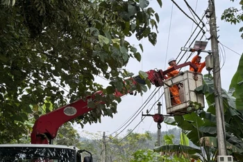 Điện lực thành phố Cao Bằng hỗ trợ lắp đèn năng lượng mặt trời chiếu sáng đường giao thông tại xóm 2, xã Chu Trinh, thành phố Cao Bằng.