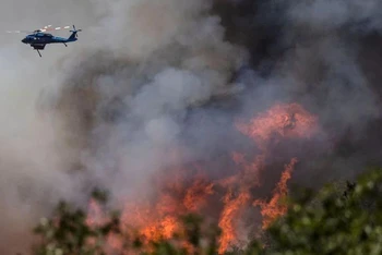 Đám cháy Oak tại California, Mỹ, ngày 24/7/2022. (Ảnh: Reuters)