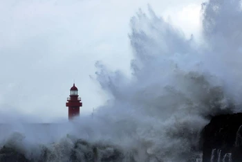Sóng lớn đập vào một bến cảng trên đảo Jeju, Hàn Quốc, ngày 4/9. (Ảnh: Yonhap)