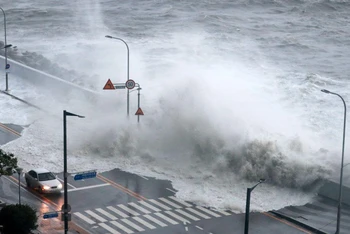 Sóng lớn tràn vào đường ven biển tại thành phố Busan, Hàn Quốc, ngày 6/9/2022. (Ảnh: Yonhap)