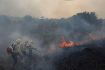 Một đám cháy tại rừng Amazon năm 2021. (Ảnh: Reuters)