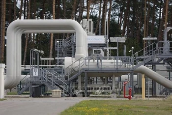 Đường ống dẫn khí đốt Dòng chảy phương Bắc 1 tại Lubmin, Đức, ngày 30/8/2022. (Ảnh: AFP/TTXVN)