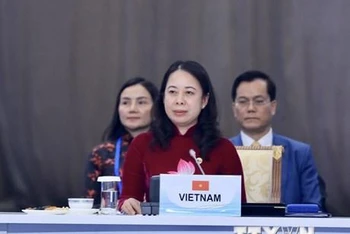Phó Chủ tịch nước Võ Thị Ánh Xuân phát biểu tại phiên khai mạc hội nghị. (Ảnh: TTXVN)