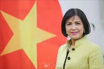  Đại sứ Lê Thị Tuyết Mai. (Ảnh: TTXVN)