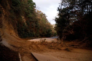 Một tuyến đường tại Guatemala sau trận động đất ngày 16/2/2022. (Ảnh: Reuters)
