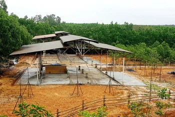 Hai khu nhà chăn nuôi gia súc được ông Bùi Mạnh Dũng xây dựng trái phép tại thôn Tân Văn, xã Gio An.