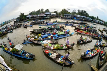 Chợ nổi Phong Điền trên sông Hậu là một điểm tham quan hấp dẫn của sông nước miền Tây. (Nguồn: MRC)
