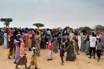 Những người Sudan chờ đăng ký tại khu trại gần biên giới giữa nước này và Cộng hòa Chad, ngày 26/4/2023. (Ảnh: Reuters)