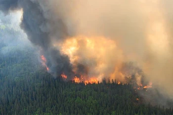 Cháy rừng gần khu vực Mistissini, thành phố Quebec, Canada, ngày 12/6/2023. (Ảnh: Reuters)