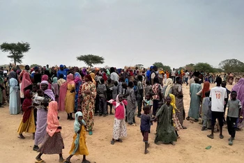 Những người Sudan chạy trốn tình trạng bạo lực đang chờ đến lượt đăng ký tại khu trại gần biên giới giáp Cộng hòa Chad, ngày 26/4/2023. (Ảnh: Reuters)