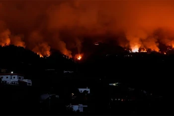 Toàn cảnh đám cháy rừng Tijarafe trên đảo Canary, La Palma, Tây Ban Nha, ngày 16/7/2023. (Ảnh: Reuters)