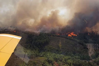 Máy bay tham gia dập đám cháy rừng trên đảo Rhodes, Hy Lạp, ngày 24/7/2023. (Ảnh: Reuters)