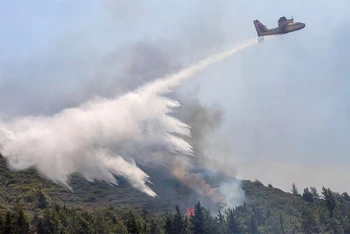 May bay cứu hỏa thả nước xuống đám cháy gần làng Vati, đảo Rhodes, Hy Lạp, ngày 25/7/2023. (Ảnh: Reuters)