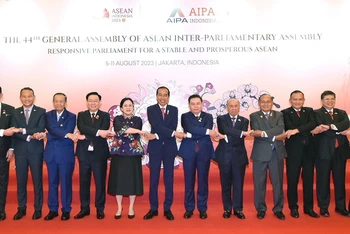 Phát huy vai trò Việt Nam tại AIPA, nâng tầm hợp tác với Indonesia và Iran