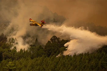 17 máy bay cứu hỏa đã được huy động đã dập đám cháy trên đảo Tenerife. (Ảnh: Anadolu Agency/Getty Images)