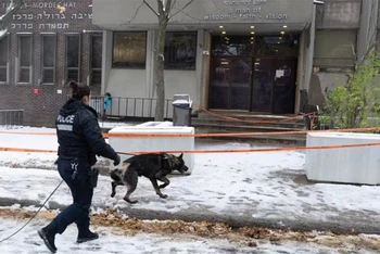 Cảnh sát làm việc tại trường Yeshiva Gedolah sau khi vết đạn được phát hiện tại 2 trường học Do thái ở Montreal, ngày 9/10/2023. (Ảnh: The Canadian Press)