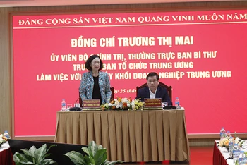 Đồng chí Trương Thị Mai phát biểu tại buổi làm việc. 