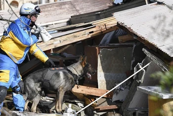 Lực lượng cứu hộ tìm kiếm người mất tích sau động đất tại tỉnh Ishikawa, Nhật Bản, ngày 6/1/2024. (Ảnh: Kyodo/TTXVN)