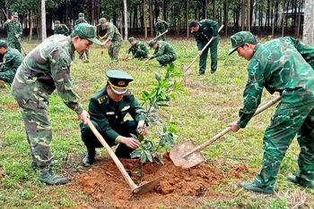 Bộ đội Biên phòng Thanh Hóa trồng cây đời đời nhớ ơn Bác Hồ.