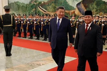 Chủ tịch Trung Quốc Tập Cận Bình và Tổng thống Indonesia Prabowo Subianto tại Đại lễ đường Nhân dân ở Bắc Kinh ngày 9/11/2024. (Ảnh: Reuters)