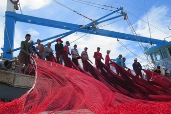 Ngư dân đưa lưới lên tàu tại cảng cá Mỹ Tân (xã Thanh Hải, huyện Ninh Hải, Ninh Thuận), chuẩn bị cho chuyến ra khơi. Ảnh: Minh Hưng