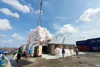 Bốc xếp gạo xuất khẩu ở cảng biển tại An Giang. (Ảnh CHÍ QUỐC)