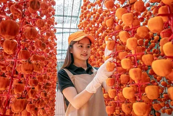 Nông sản từ các tỉnh vùng Tây Nguyên chủ yếu tiêu thụ tại Thành phố Hồ Chí Minh.