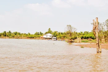 Khu vực sạt lở đất nghiêm trọng tại xã Hòa Ninh, huyện Long Hồ, tỉnh Vĩnh Long. 