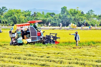 Xã Quảng Thọ, huyện Quảng Ðiền được tỉnh Thừa Thiên Huế chọn triển khai mô hình xã nông thôn mới thông minh.