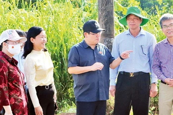 Đoàn đại biểu Quốc hội tỉnh Đồng Nai giám sát việc quản lý đất đai, xây dựng tại huyện Trảng Bom. 