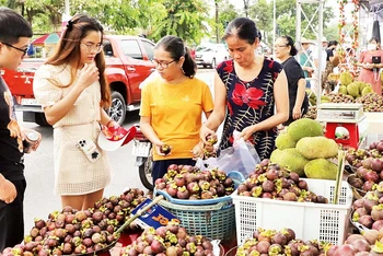 Lễ hội "Lái Thiêu mùa trái chín" thu hút nhiều người dân, du khách đến tham quan và mua trái cây. 